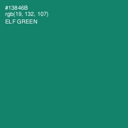 #13846B - Elf Green Color Image