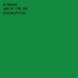 #138A40 - Eucalyptus Color Image