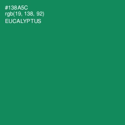 #138A5C - Eucalyptus Color Image
