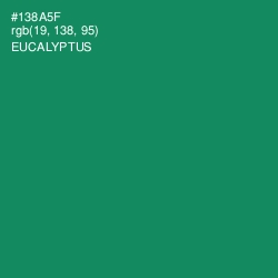 #138A5F - Eucalyptus Color Image