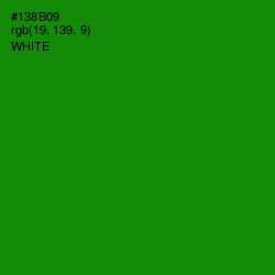 #138B09 - Forest Green Color Image