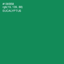 #138B58 - Eucalyptus Color Image