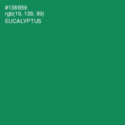 #138B59 - Eucalyptus Color Image