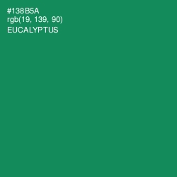 #138B5A - Eucalyptus Color Image