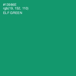 #13986E - Elf Green Color Image