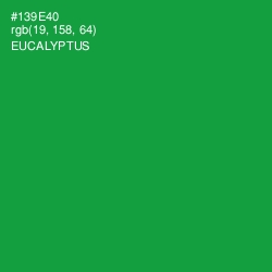 #139E40 - Eucalyptus Color Image