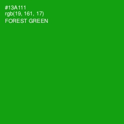 #13A111 - Forest Green Color Image