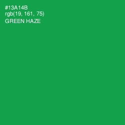 #13A14B - Green Haze Color Image