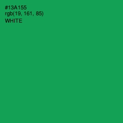 #13A155 - Green Haze Color Image