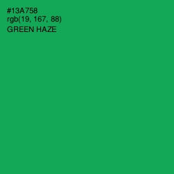 #13A758 - Green Haze Color Image