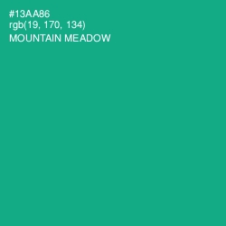 #13AA86 - Mountain Meadow Color Image