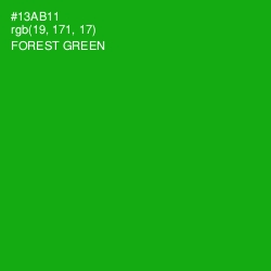 #13AB11 - Forest Green Color Image