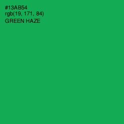 #13AB54 - Green Haze Color Image