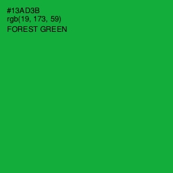 #13AD3B - Forest Green Color Image