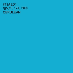#13AED1 - Cerulean Color Image