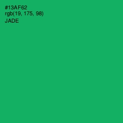 #13AF62 - Jade Color Image