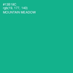 #13B18C - Mountain Meadow Color Image
