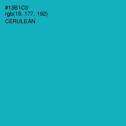 #13B1C0 - Cerulean Color Image