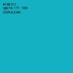 #13B1C1 - Cerulean Color Image