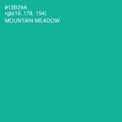 #13B29A - Mountain Meadow Color Image