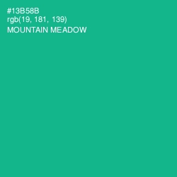 #13B58B - Mountain Meadow Color Image