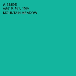 #13B59E - Mountain Meadow Color Image