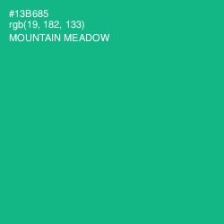 #13B685 - Mountain Meadow Color Image