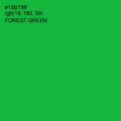 #13B73B - Forest Green Color Image