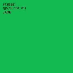 #13B851 - Jade Color Image