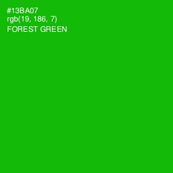 #13BA07 - Forest Green Color Image