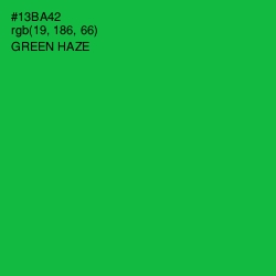 #13BA42 - Green Haze Color Image