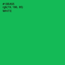 #13BA55 - Jade Color Image