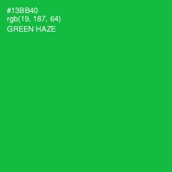 #13BB40 - Green Haze Color Image