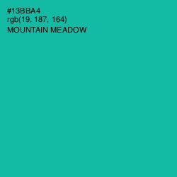 #13BBA4 - Mountain Meadow Color Image