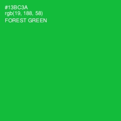 #13BC3A - Forest Green Color Image