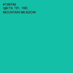 #13BFA6 - Mountain Meadow Color Image