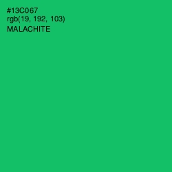 #13C067 - Malachite Color Image