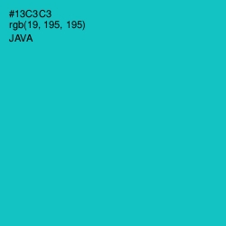 #13C3C3 - Java Color Image