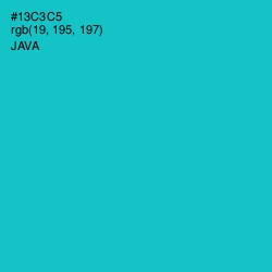 #13C3C5 - Java Color Image