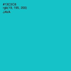 #13C3C8 - Java Color Image