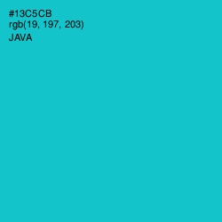 #13C5CB - Java Color Image