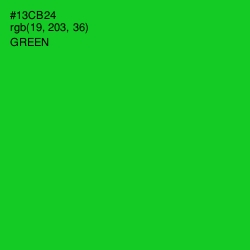 #13CB24 - Green Color Image