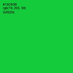 #13CB3B - Green Color Image