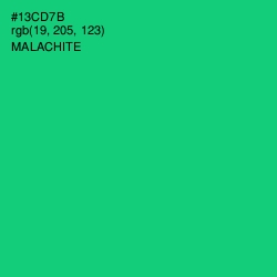 #13CD7B - Malachite Color Image