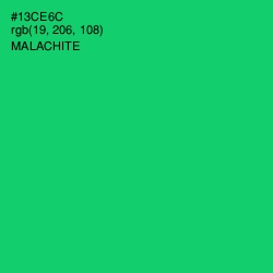 #13CE6C - Malachite Color Image