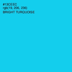 #13CEEC - Bright Turquoise Color Image