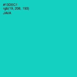 #13D0C1 - Java Color Image