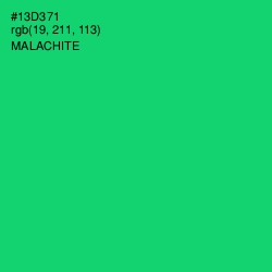 #13D371 - Malachite Color Image