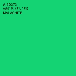 #13D373 - Malachite Color Image