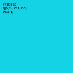 #13D3E5 - Bright Turquoise Color Image